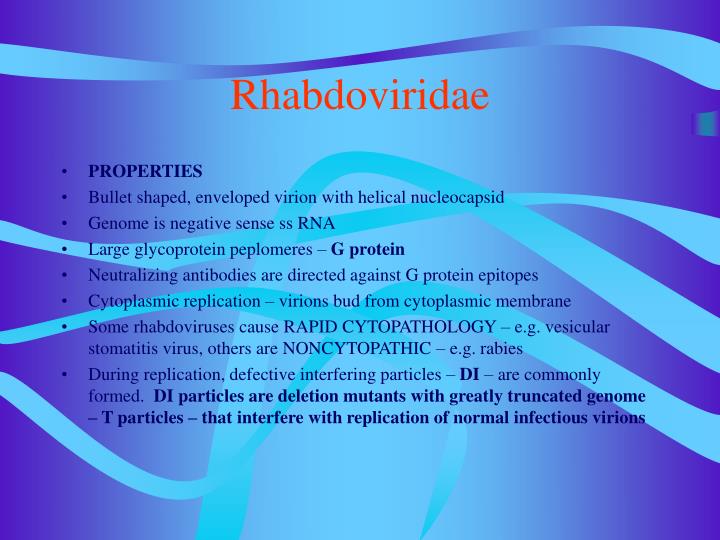 rhabdoviridae