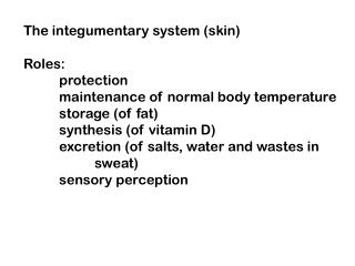 The integumentary system (skin) Roles: 	protection 	maintenance of normal body temperature 	storage (of fat) 	synthesis