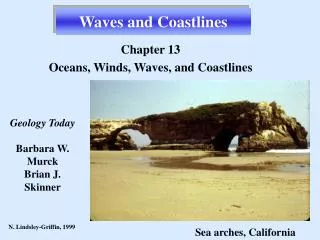 Waves and Coastlines