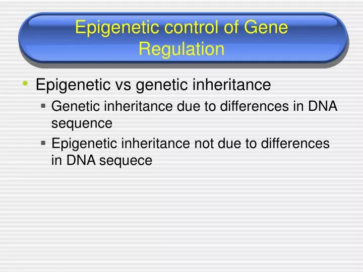 epigenetic control of gene regulation