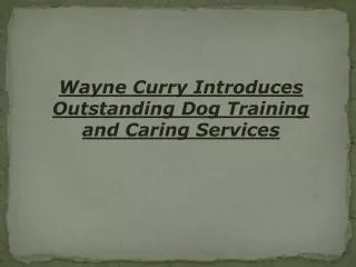 Wayne Curry Introduces Outstanding Dog Training and Caring S