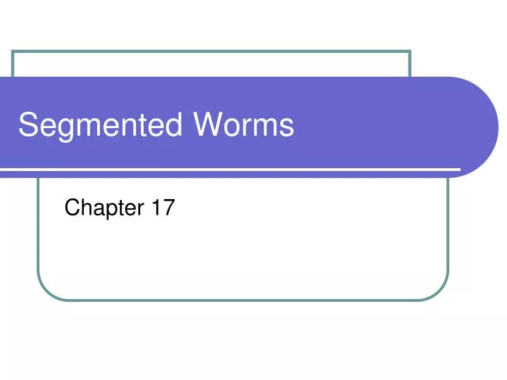 segmented worms