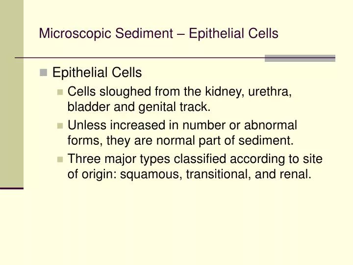microscopic sediment epithelial cells