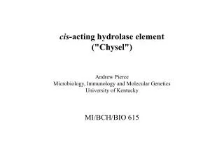 cis -acting hydrolase element (&quot;Chysel&quot;)