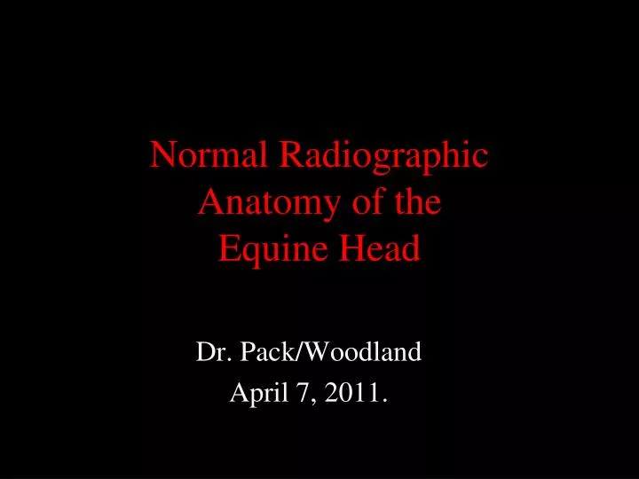 normal radiographic anatomy of the equine head