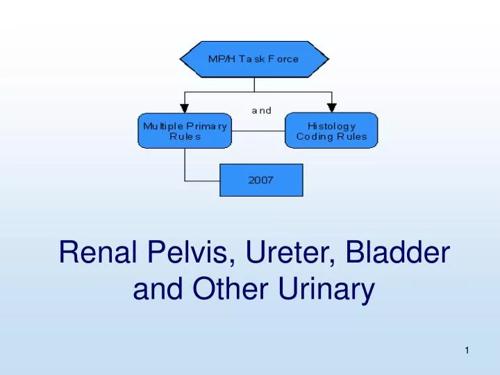 renal pelvis ureter bladder and other urinary