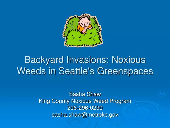 backyard invasions noxious weeds in seattle s greenspaces