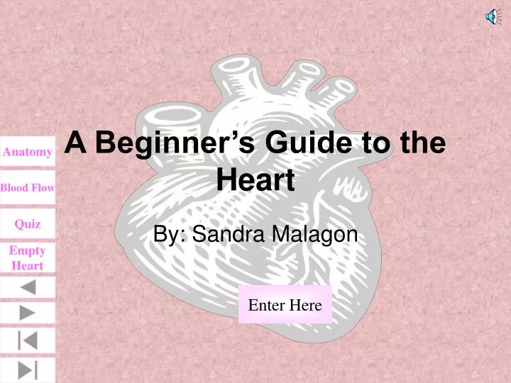 a beginner s guide to the heart