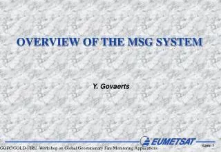 OVERVIEW OF THE MSG SYSTEM