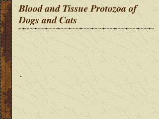 Blood and Tissue Protozoa of Dogs and Cats