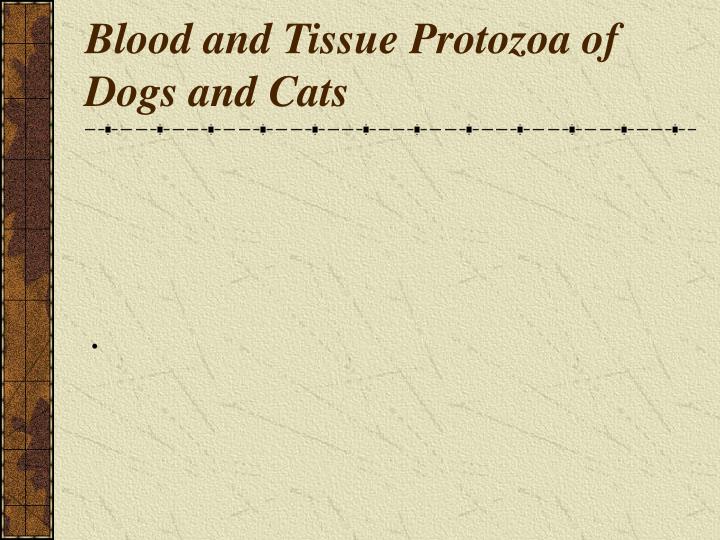 blood and tissue protozoa of dogs and cats