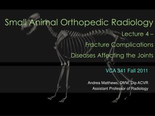 VCA 341 Fall 2011 Andrea Matthews, DVM, Dip ACVR Assistant Professor of Radiology
