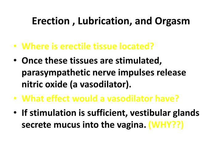 erection lubrication and orgasm