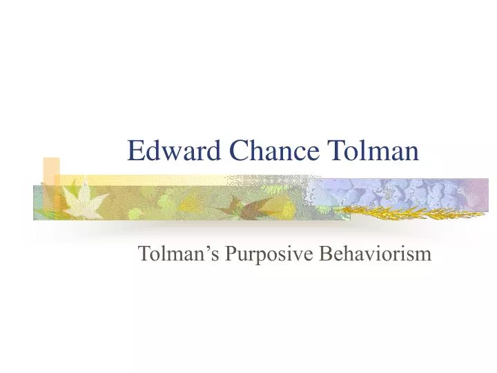 edward chance tolman