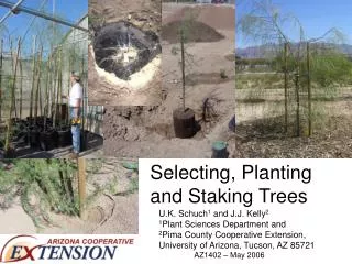 Selecting, Planting and Staking Trees