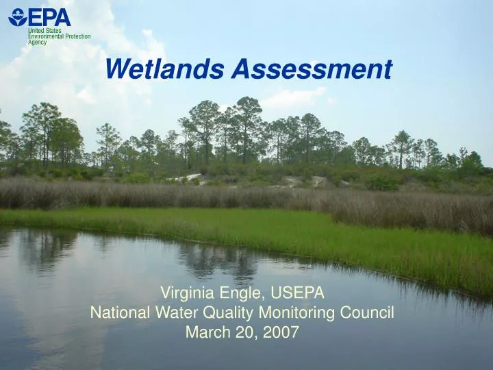 wetlands assessment