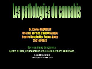 Les pathologies du cannabis