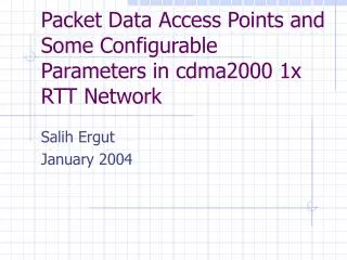 Packet Data Access Points and Some Configurable Parameters in cdma2000 1x RTT Network