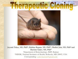 Therapeutic Cloning