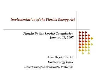 Implementation of the Florida Energy Act