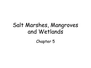 Salt Marshes, Mangroves and Wetlands