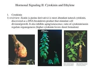 Hormonal Signaling II: Cytokinin and Ethylene