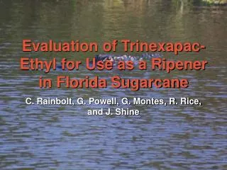 Evaluation of Trinexapac-Ethyl for Use as a Ripener in Florida Sugarcane