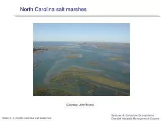 North Carolina salt marshes