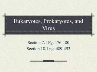 eukaryotes prokaryotes and virus