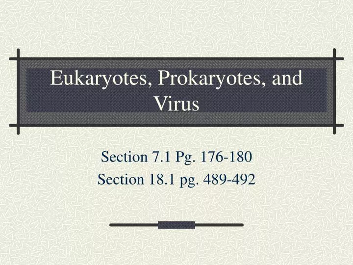 eukaryotes prokaryotes and virus