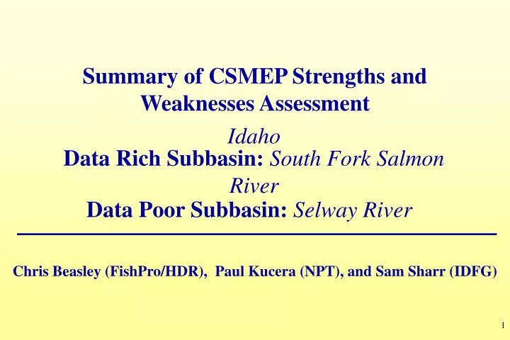 summary of csmep str engths and weaknesses assessment