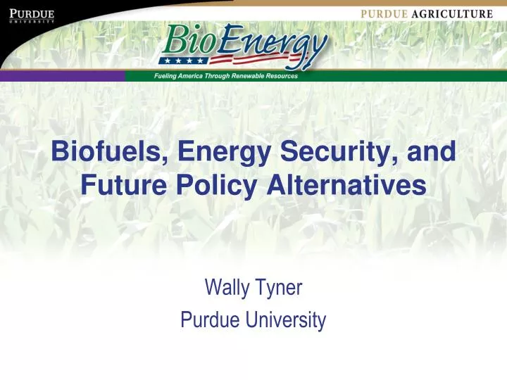 biofuels energy security and future policy alternatives