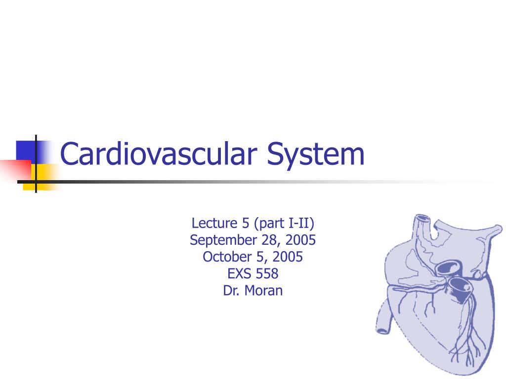 PPT - Cardiovascular System PowerPoint Presentation, free download - ID ...