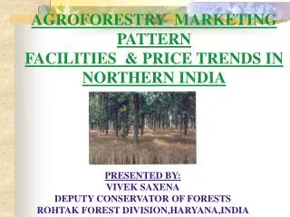 AGROFORESTRY MARKETING PATTERN FACILITIES &amp; PRICE TRENDS IN NORTHERN INDIA