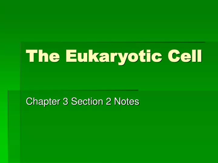 the eukaryotic cell
