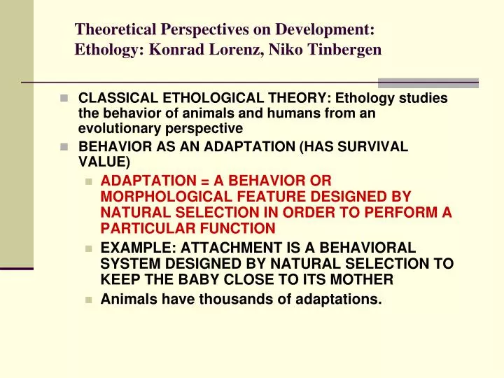 theoretical perspectives on development ethology konrad lorenz niko tinbergen