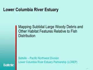 Lower Columbia River Estuary