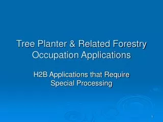 Tree Planter &amp; Related Forestry Occupation Applications