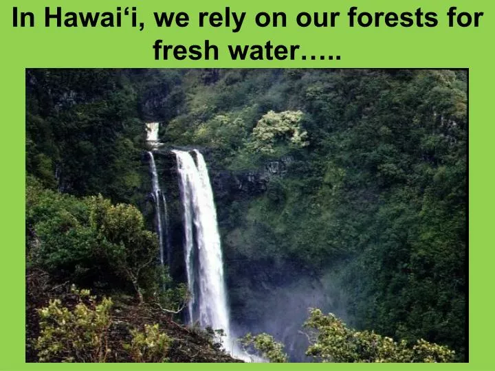 in hawai i we rely on our forests for fresh water