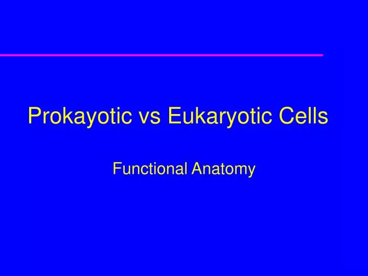 prokayotic vs eukaryotic cells