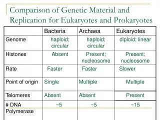 Comparison of Genetic Material and Replication for Eukaryotes and Prokaryotes