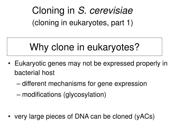 why clone in eukaryotes