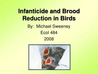 Infanticide and Brood Reduction in Birds