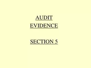 AUDIT EVIDENCE SECTION 5