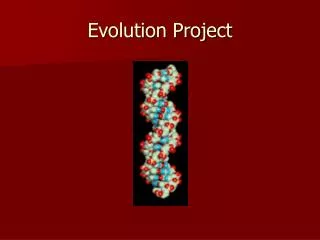 Evolution Project