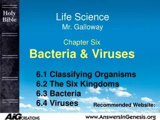 Chapter Six Bacteria &amp; Viruses