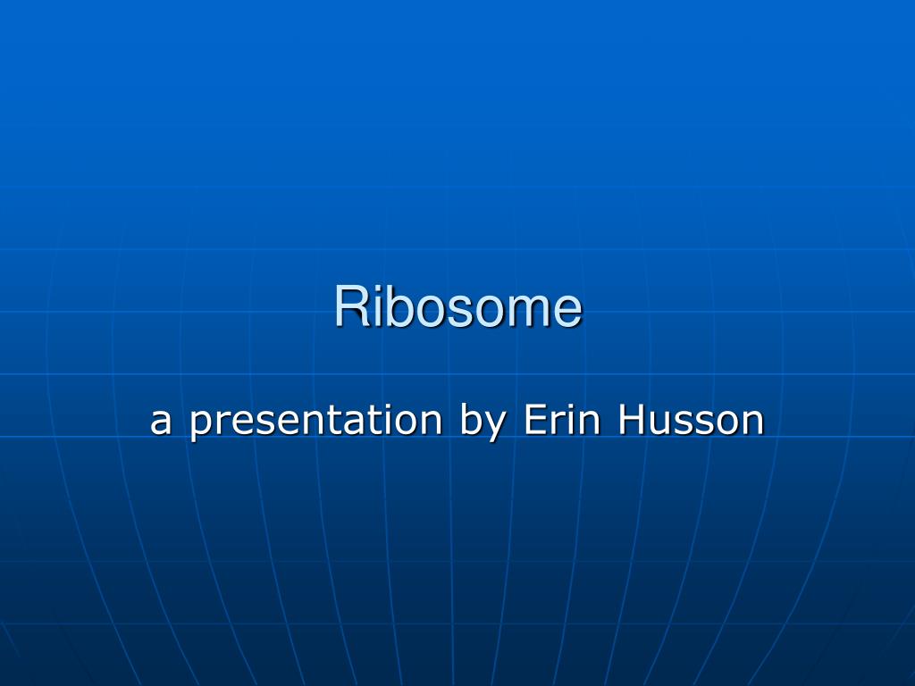 PPT - Ribosome PowerPoint Presentation, free download - ID:312326