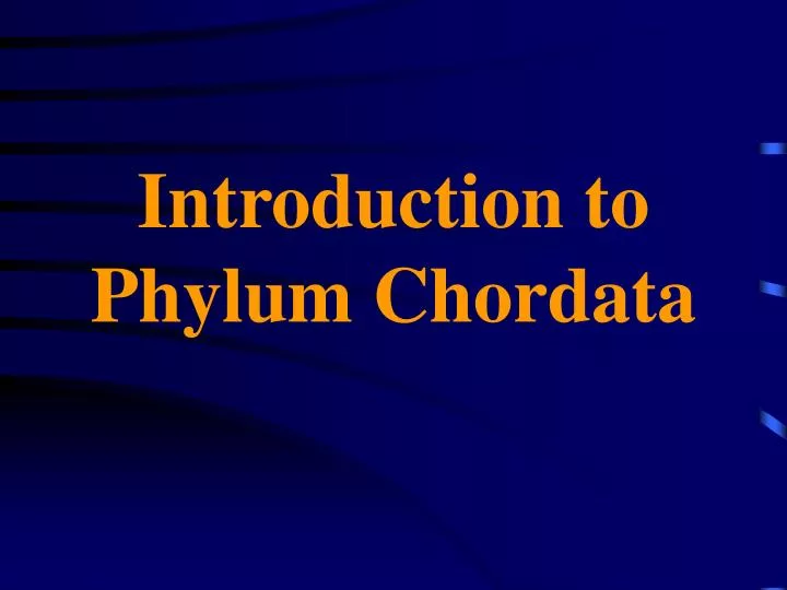 introduction to phylum chordata