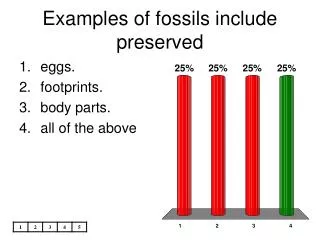 Examples of fossils include preserved