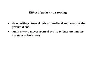 Effect of polarity on rooting